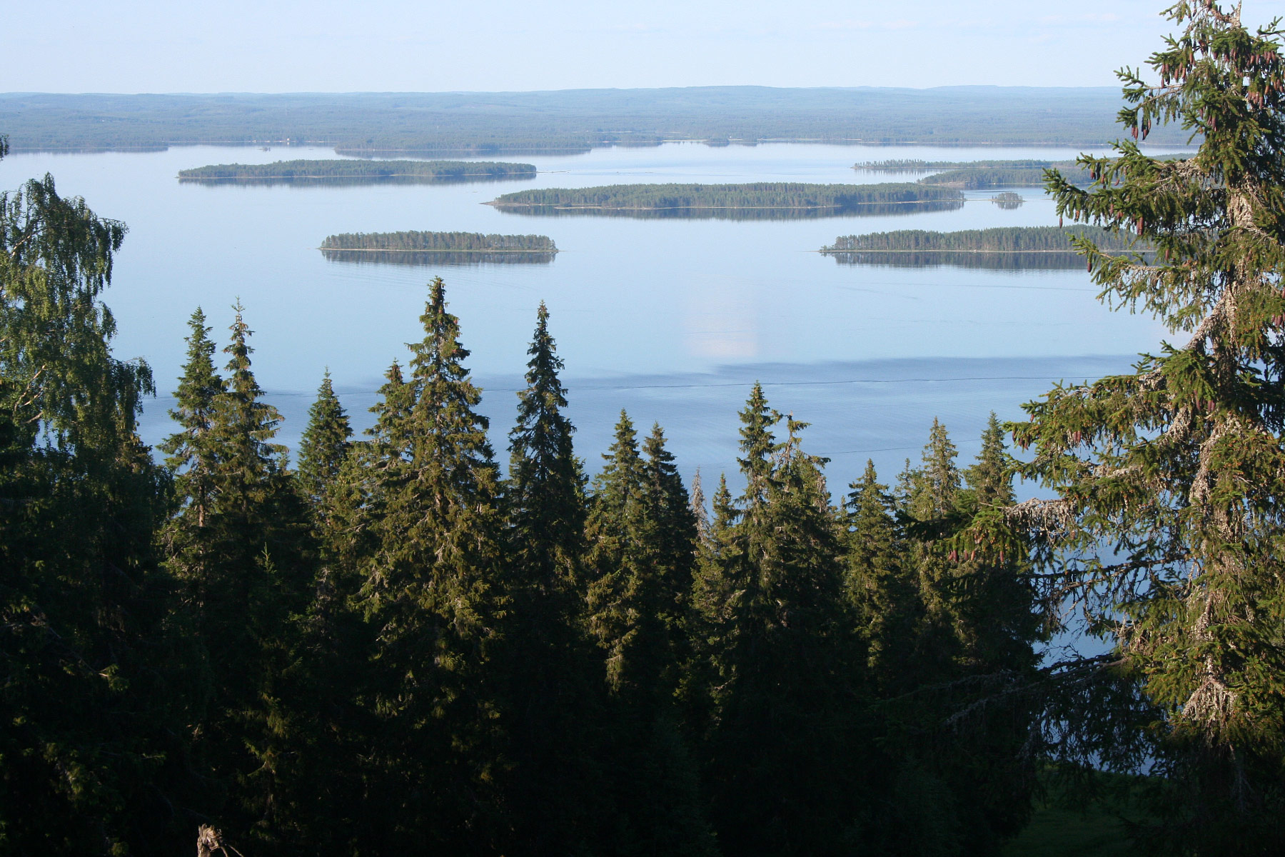 Koli National Park